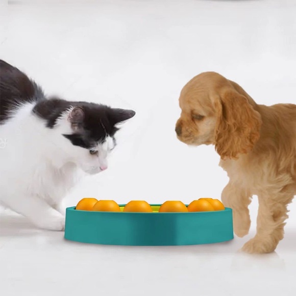 Slow Feeder Dog Bowl Enrichment Memory Training Puzzle Interactive Pet Toy - Picture 7 of 9